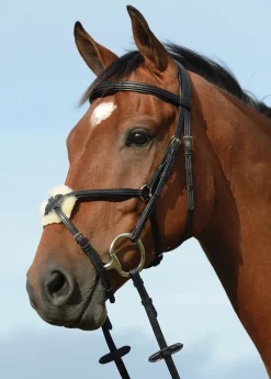 WEATHERBEETA Collegiate® Syntovia+ Padded Raised Figure-8 Bridle