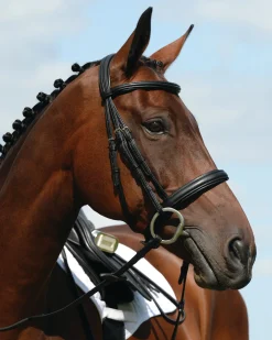 WEATHERBEETA Collegiate® Syntovia+ Padded Raised Caveson Bridle