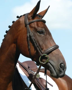 WEATHERBEETA Collegiate® Syntovia+ Padded Raised Caveson Bridle