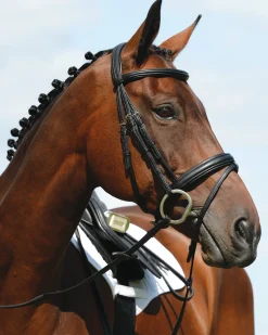 WEATHERBEETA Collegiate Syntovia+ Padded Raised Flash Bridle