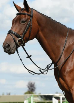 WEATHERBEETA Collegiate® Syntovia+ Plain Flat Running Martingale