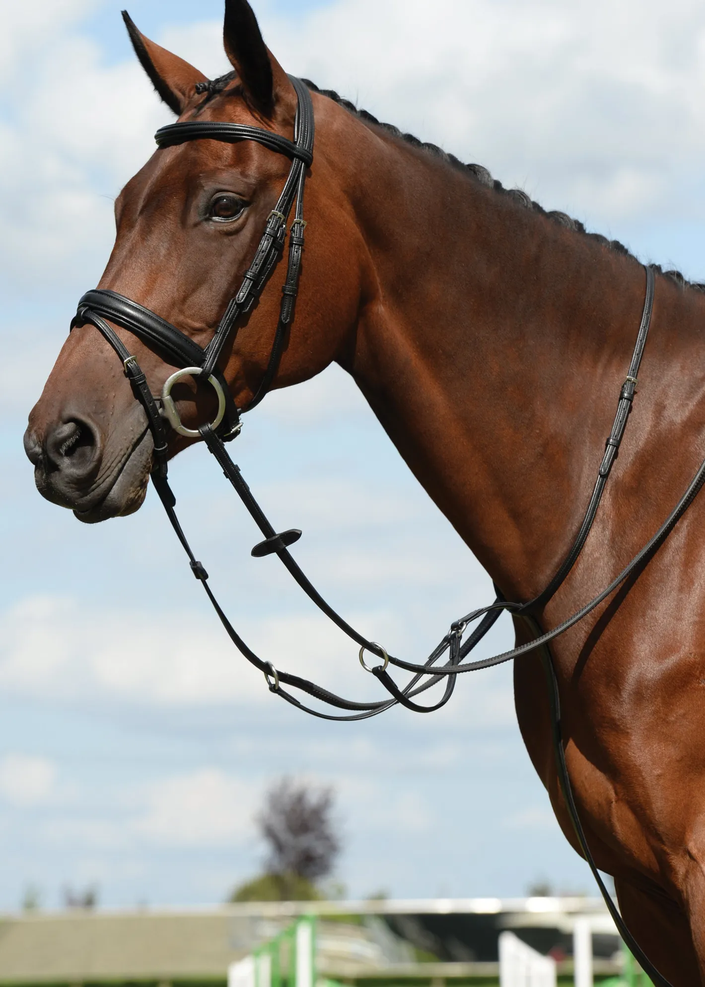 WEATHERBEETA Collegiate® Syntovia+ Plain Flat Running Martingale