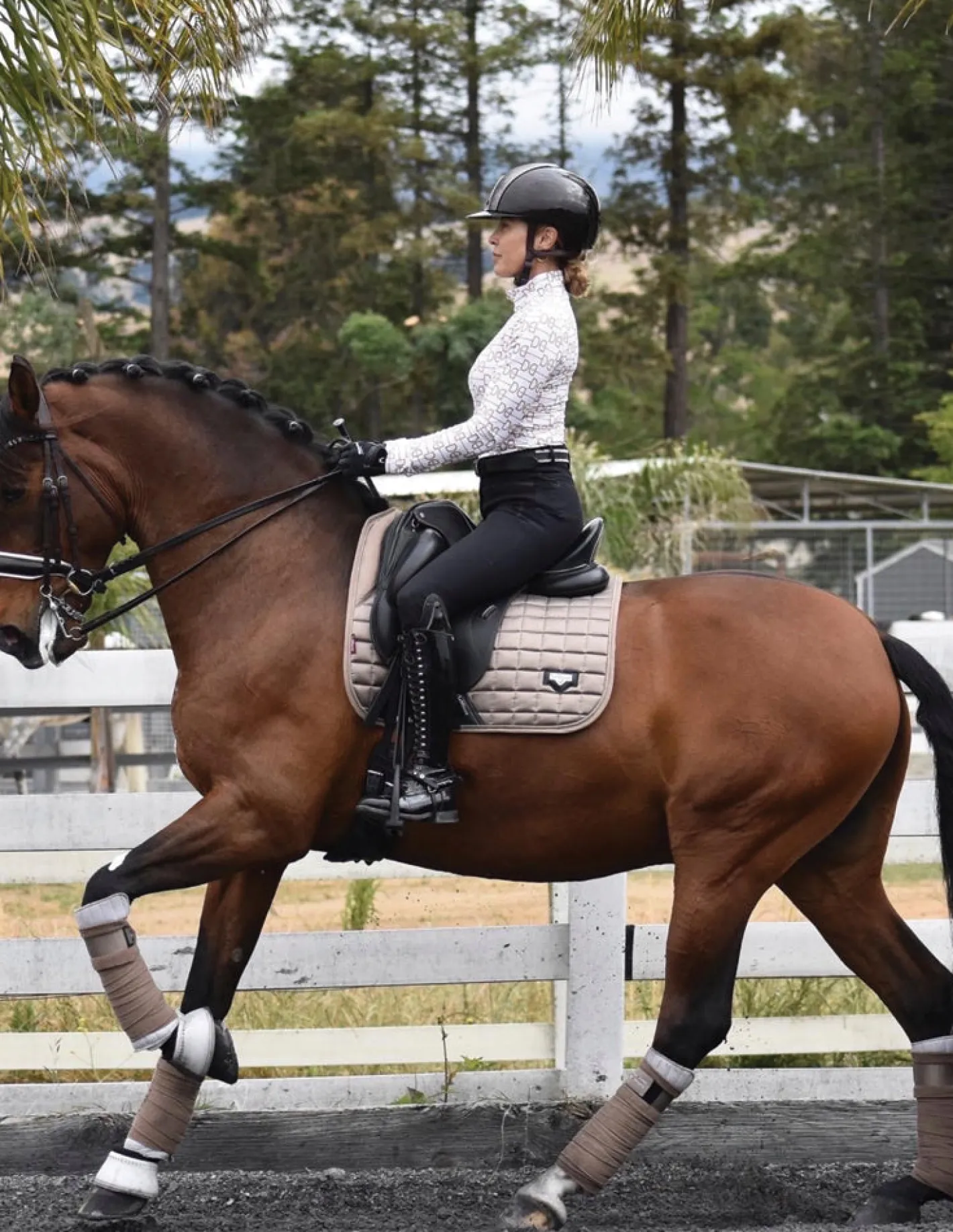 DANCING EQUESTRIAN Signature Long Sleeve Shirt