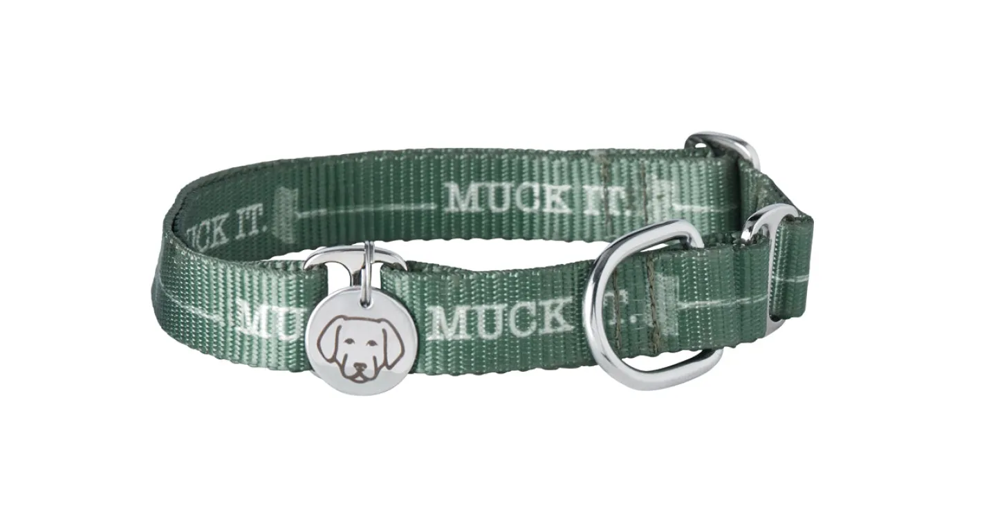 ATTIC INDIA Dover Dog Martingale Collar