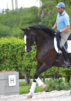 DRESSAGE SPORT BOOTS