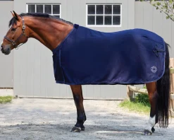 TEXT HORSE DS Awards Cooler