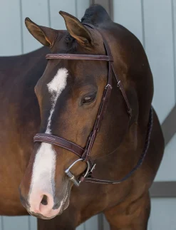 HARMOHN KRAFT DS Classic Derby Bridle