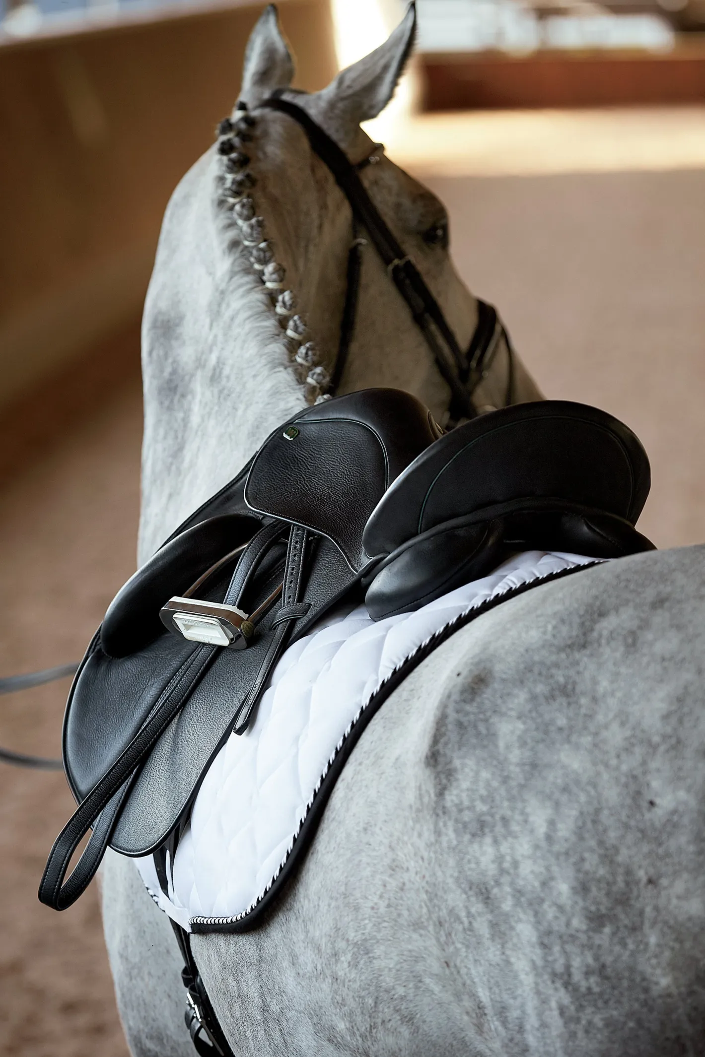 CUEROS SANTA CRUZ DS Classic Dressage Saddle
