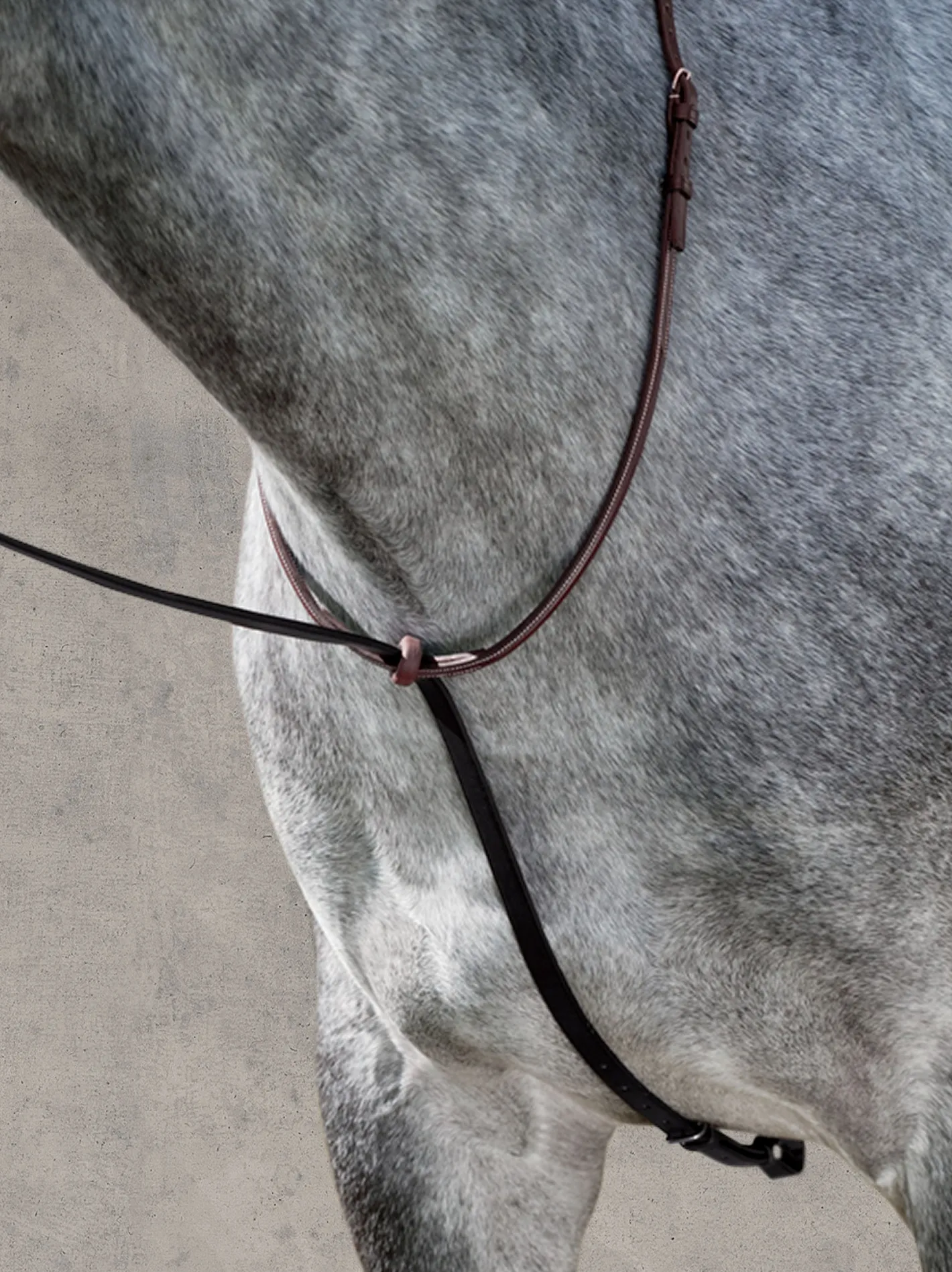 HARMOHN KRAFT DS Deluxe Standing Martingale