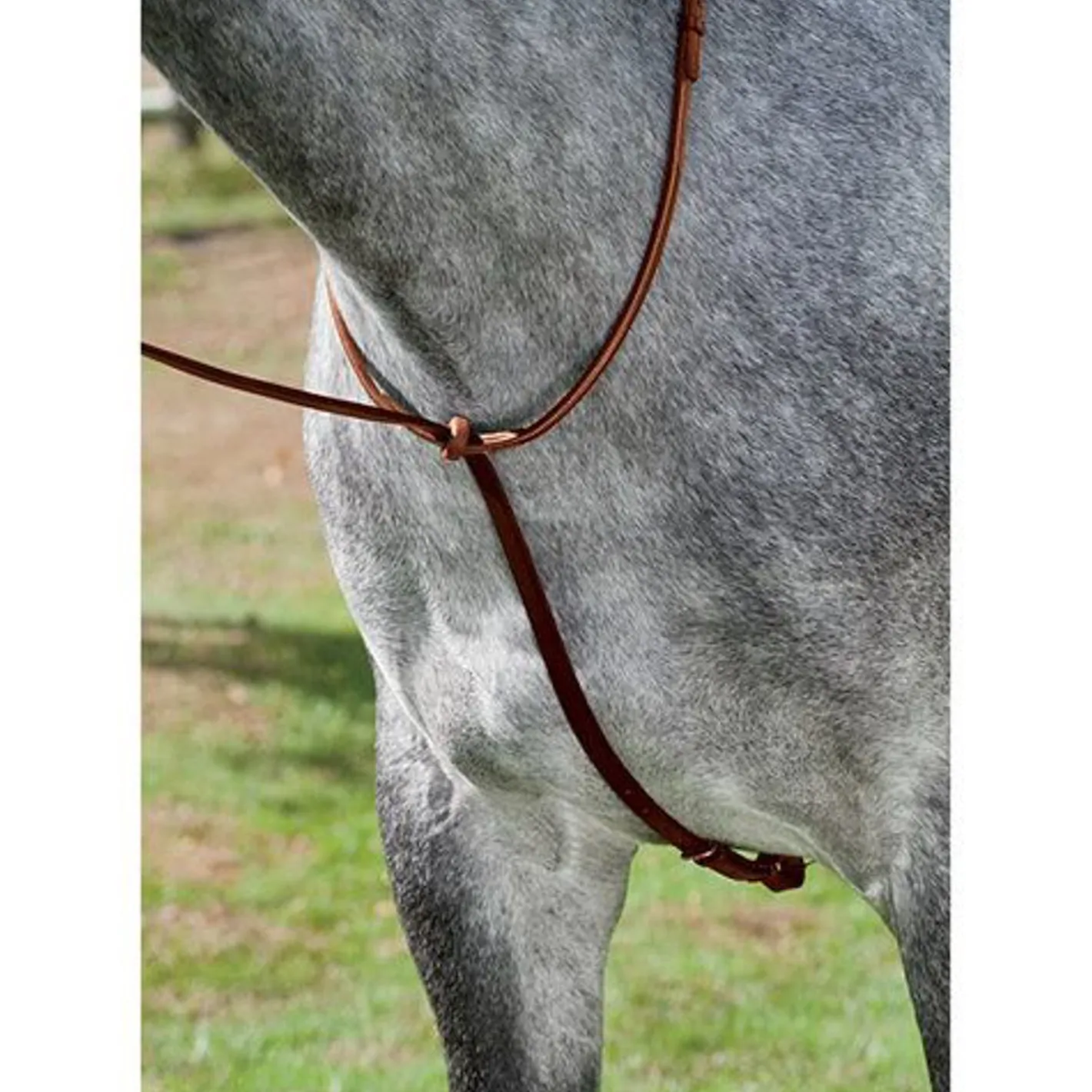 HARMOHN KRAFT DS Deluxe Standing Martingale