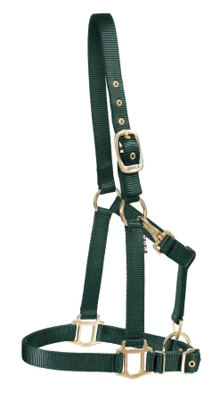 ZEETA INTERNATIONAL DS Heavy Nylon Halter