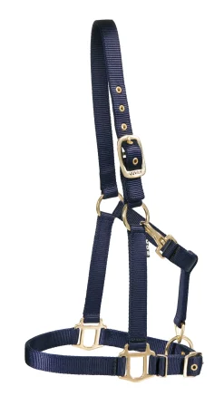 ZEETA INTERNATIONAL DS Heavy Nylon Halter