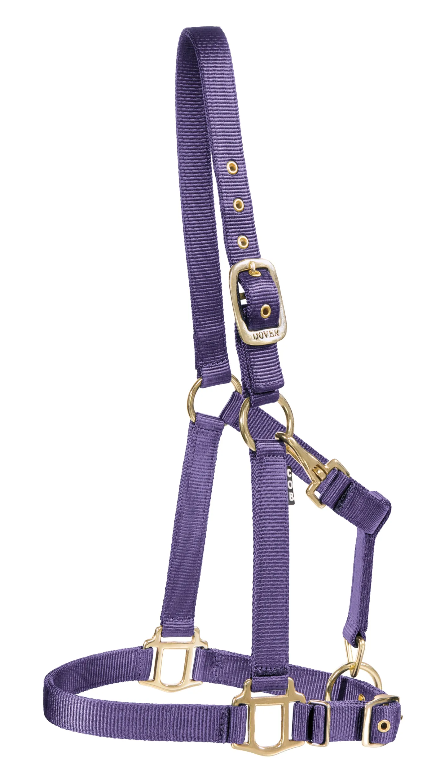 ZEETA INTERNATIONAL DS Heavy Nylon Halter