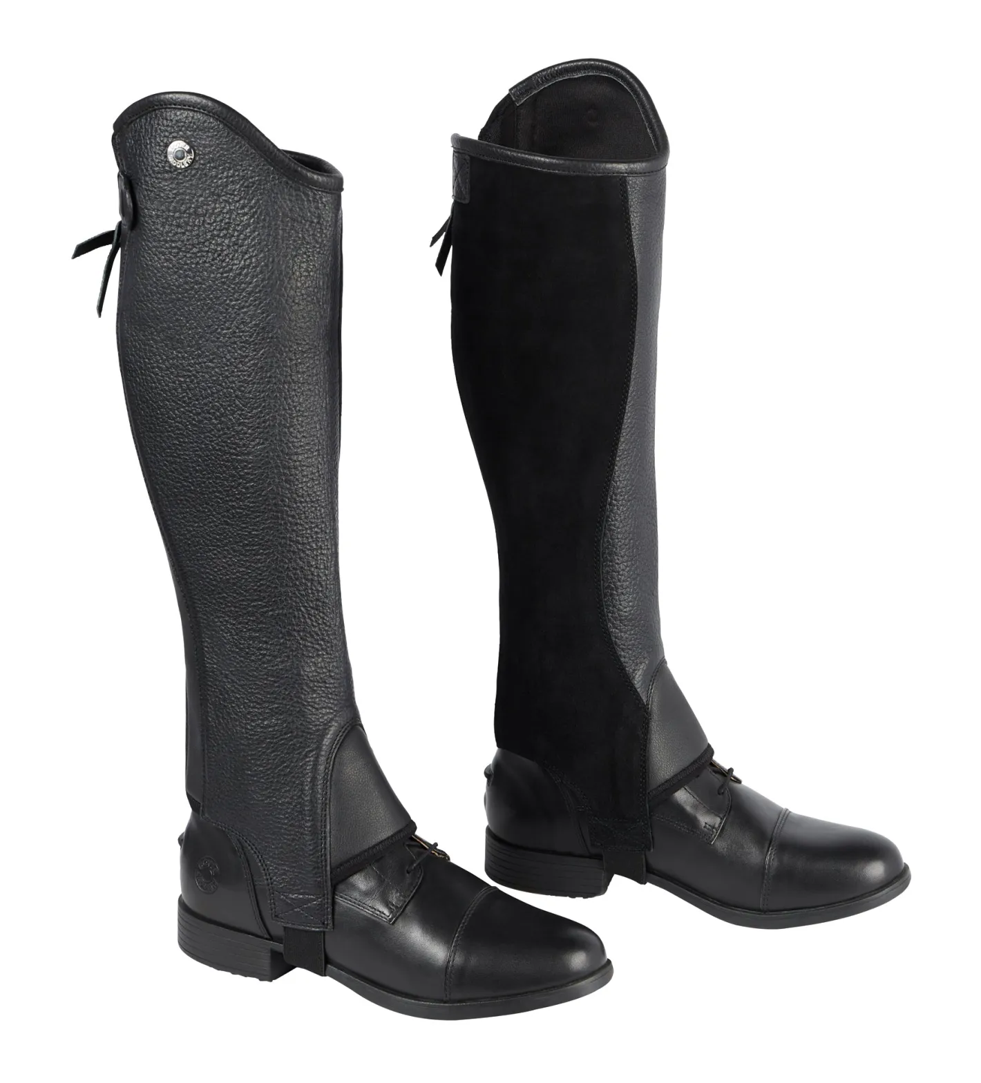 TEXT HORSE DS Ladies’ Stay Tight Leather Half Chaps