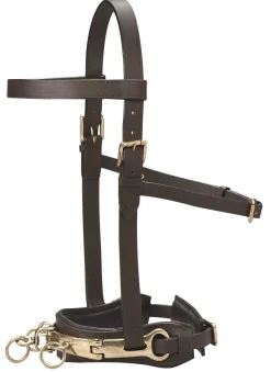 KINGS INTERNATIONAL DS Leather Lunge Caveson