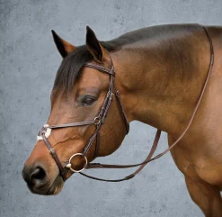 HARMOHN KRAFT DS Premier Figure-8 Bridle