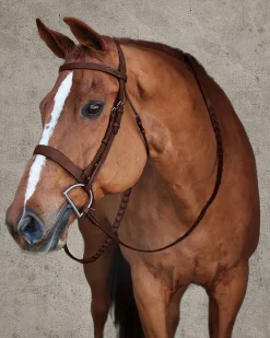 HARMOHN KRAFT DS Premier Hunt Bridle