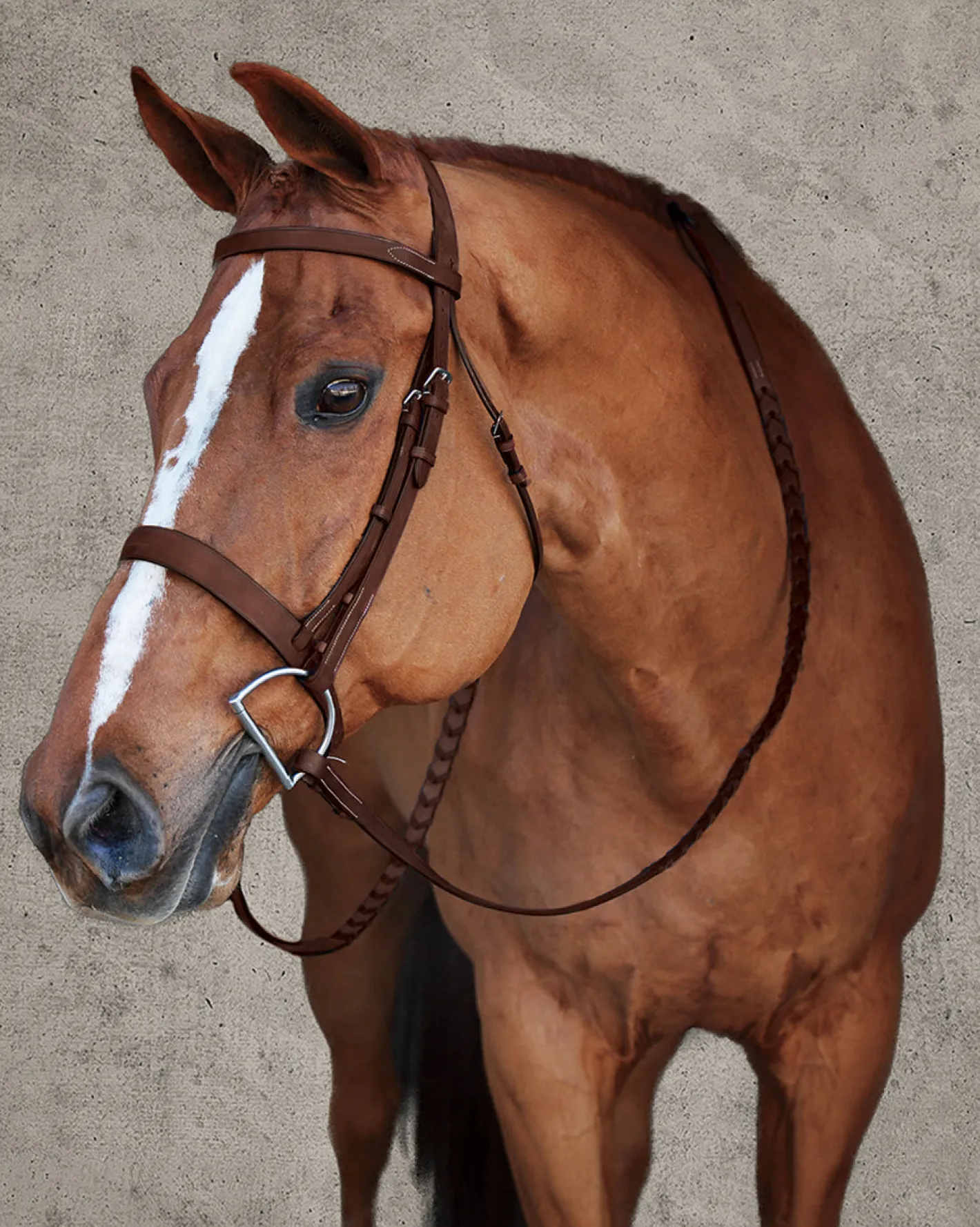 HARMOHN KRAFT DS Premier Hunt Bridle
