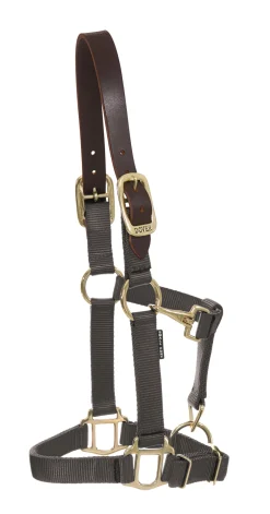 ZEETA INTERNATIONAL DS Heavy Nylon Breakaway Halter