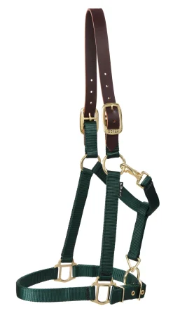 ZEETA INTERNATIONAL DS Heavy Nylon Breakaway Halter
