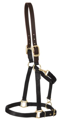 ZEETA INTERNATIONAL DS Heavy Nylon Breakaway Halter