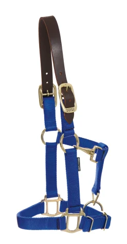 ZEETA INTERNATIONAL DS Heavy Nylon Breakaway Halter