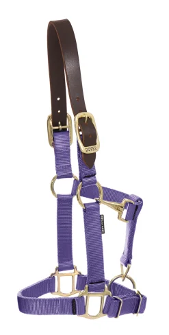 ZEETA INTERNATIONAL DS Heavy Nylon Breakaway Halter