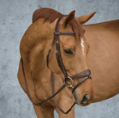 KENTUCKY HORSEWEAR Dy'on® Anatomic Bridle