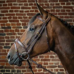 KENTUCKY HORSEWEAR Dy'on® Anatomic Bridle