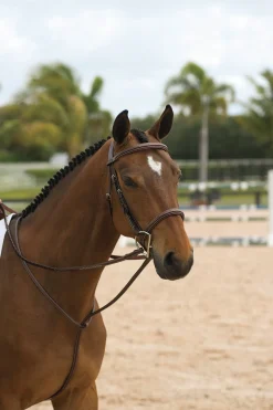 KENTUCKY HORSEWEAR Dy'on® Standing Martingale