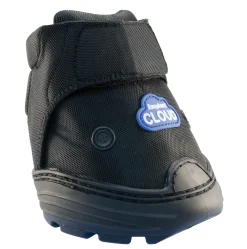 EASYCARE EasyBoot® Cloud