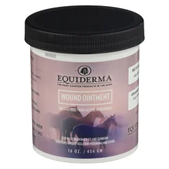 ANIMAL HEALTH INT Equiderma® Wound Ointment
