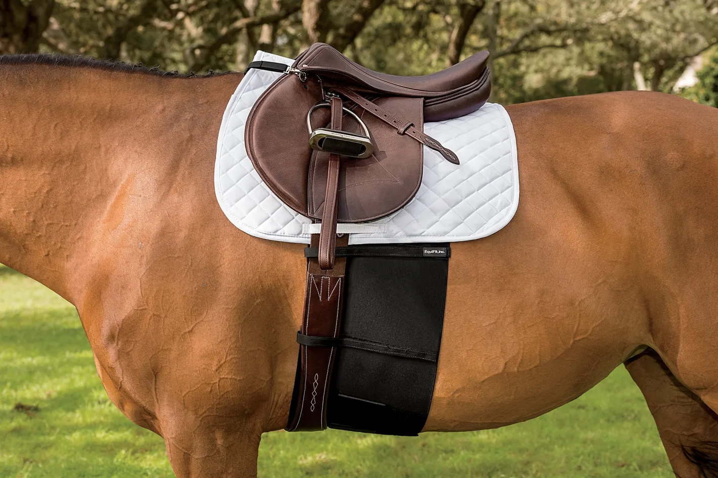 EQUIFIT ® BellyBand™