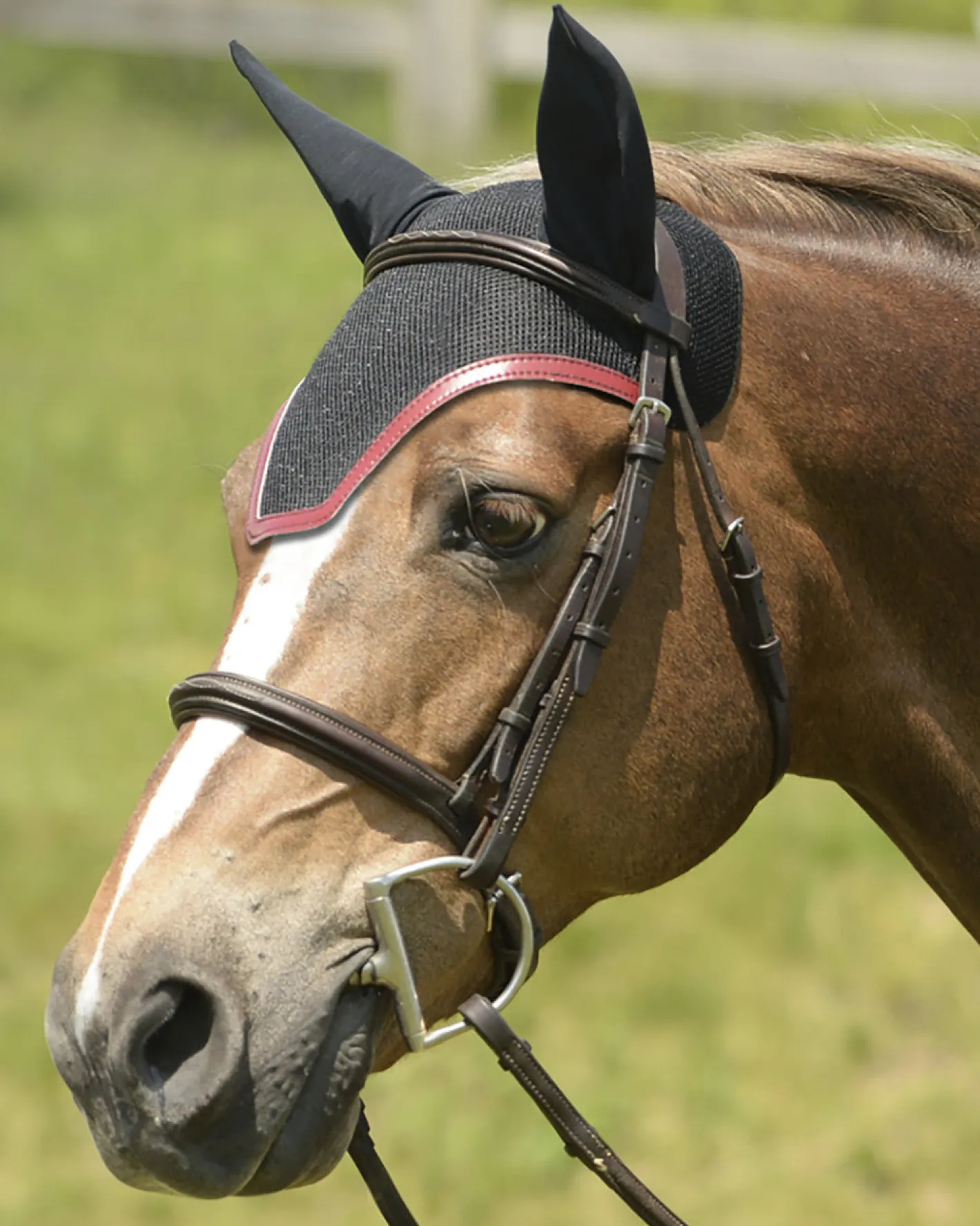EQUIFIT ® Ear Bonnet with Colored Trim and No Logo