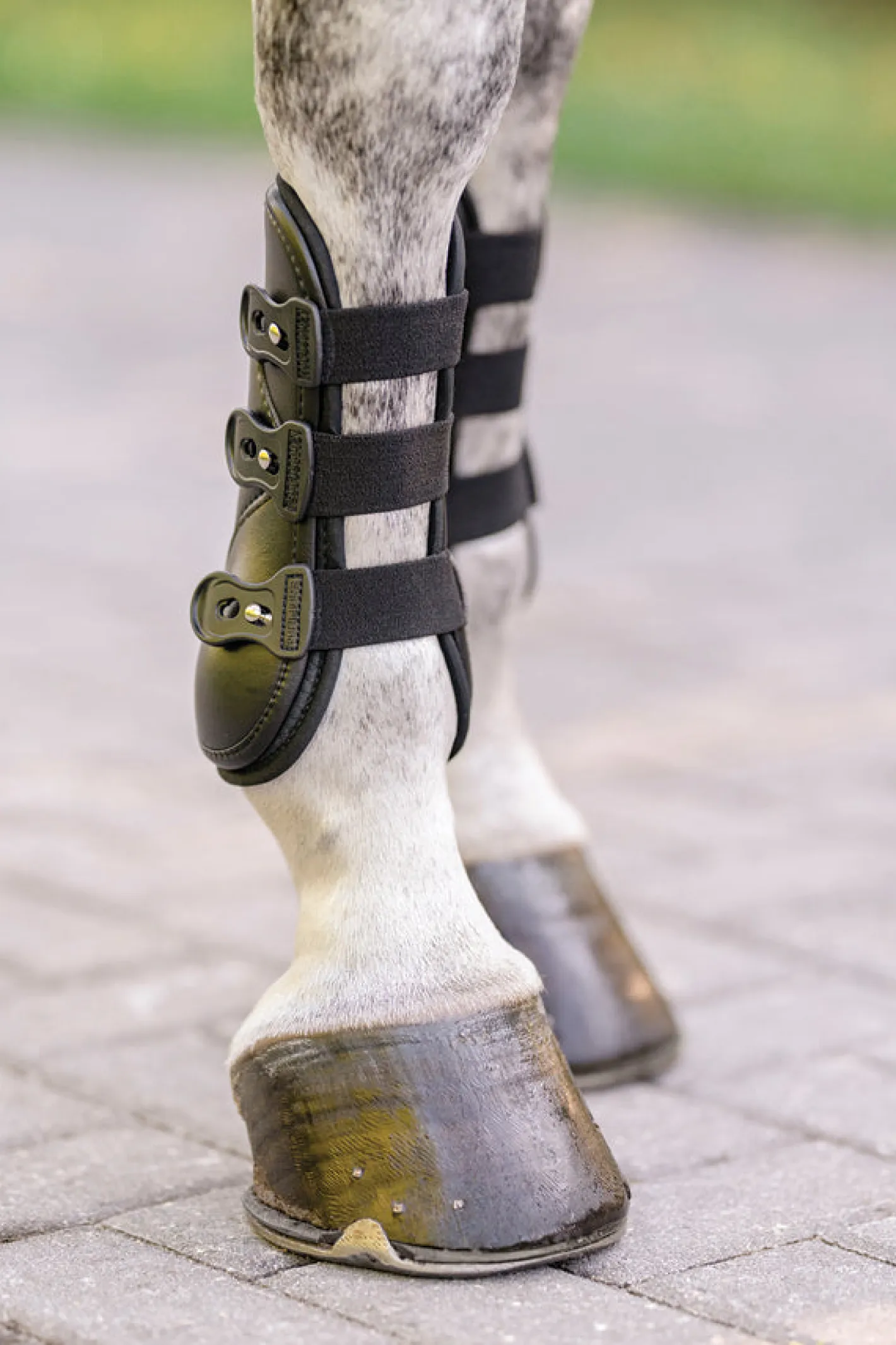 EQUIFIT ® Eq-Teq™ Front Boots