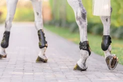 EQUIFIT ® Eq-Teq™ Hind Boots
