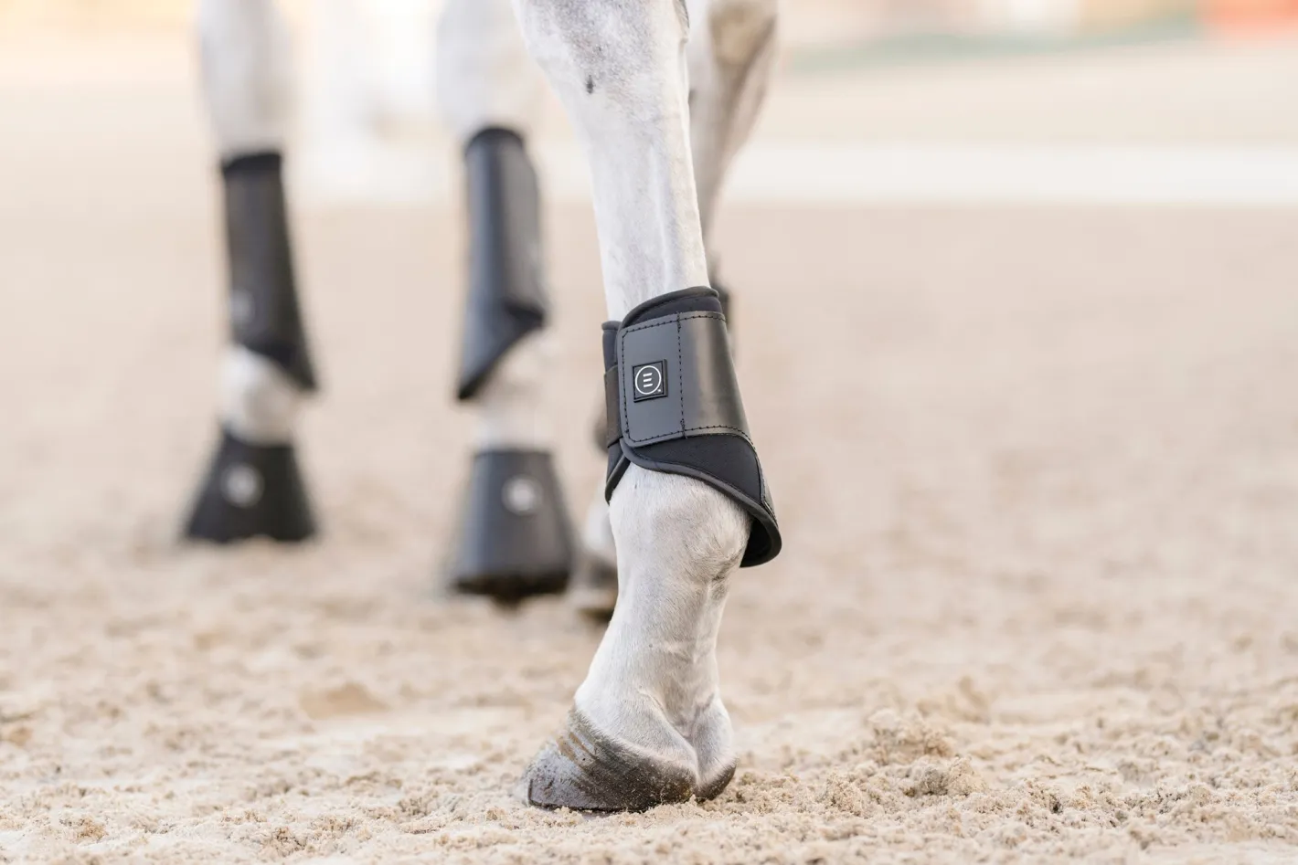 EQUIFIT ® Essential EveryDay Hind Boot