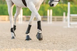 EQUIFIT ® Essential EveryDay Front Boot