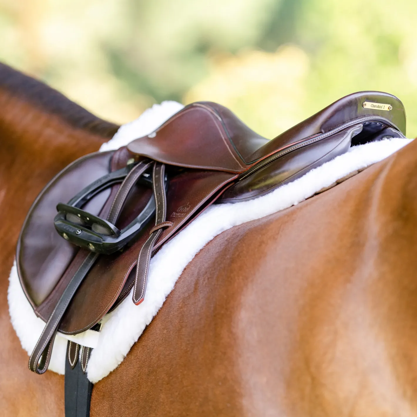 EQUIFIT ® Essential Hunter Pad