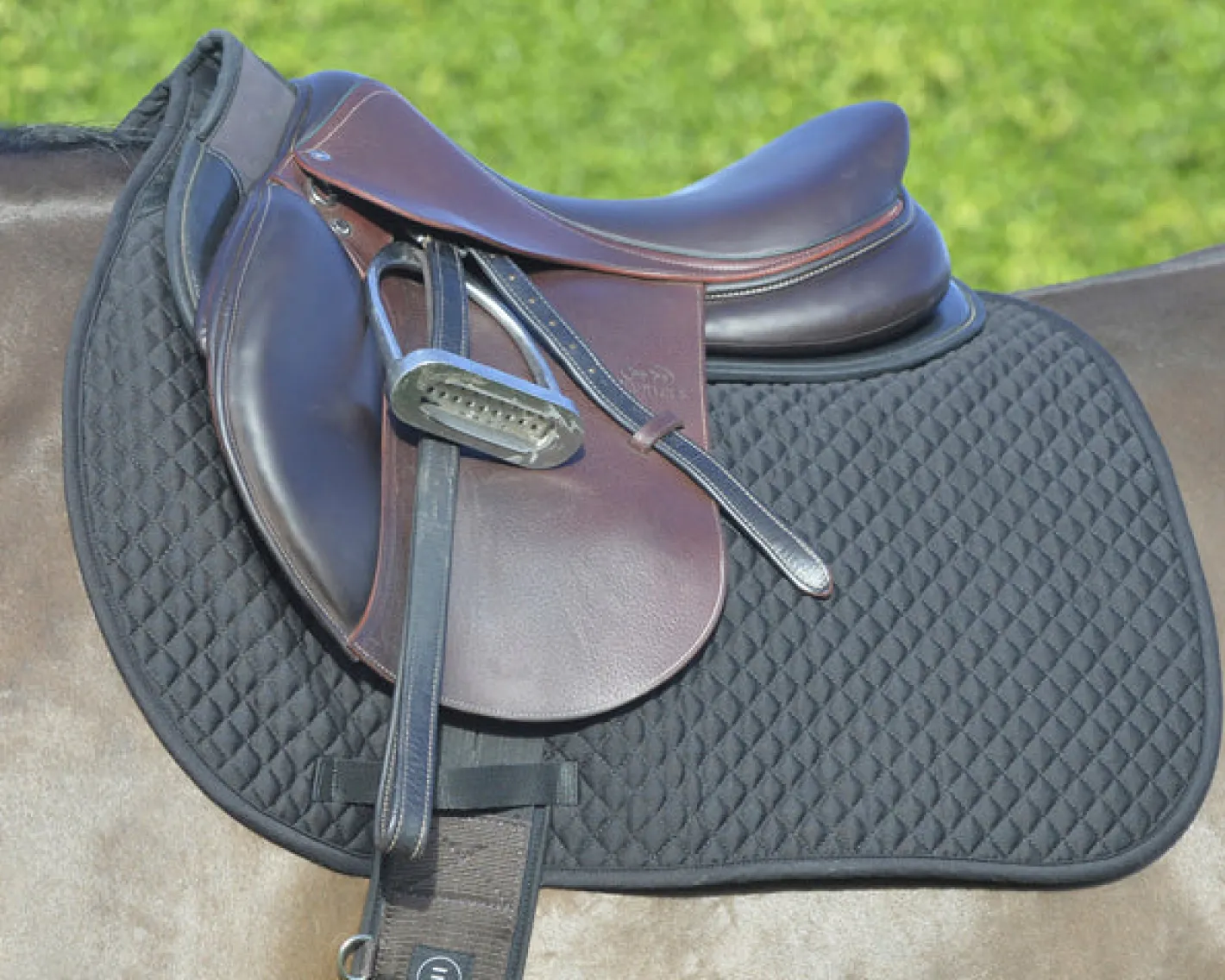EQUIFIT ® Essential Square Pad