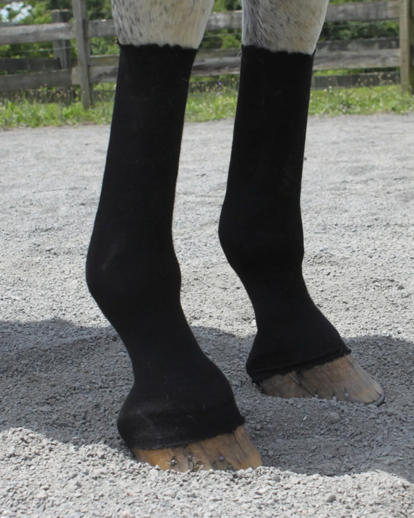 EQUIFIT ® HorseSox Barn Roll