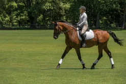 EQUIFIT ® MultiTeq Front Boots