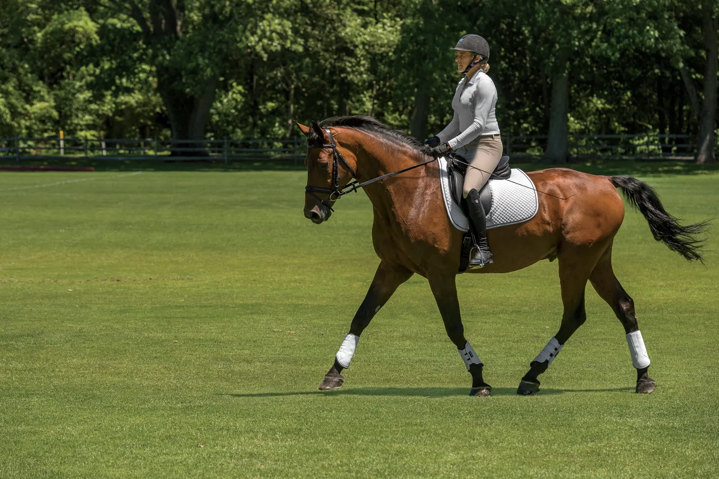EQUIFIT ® MultiTeq Front Boots