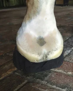 EQUIFIT ® Pack-N-Stick HoofTape