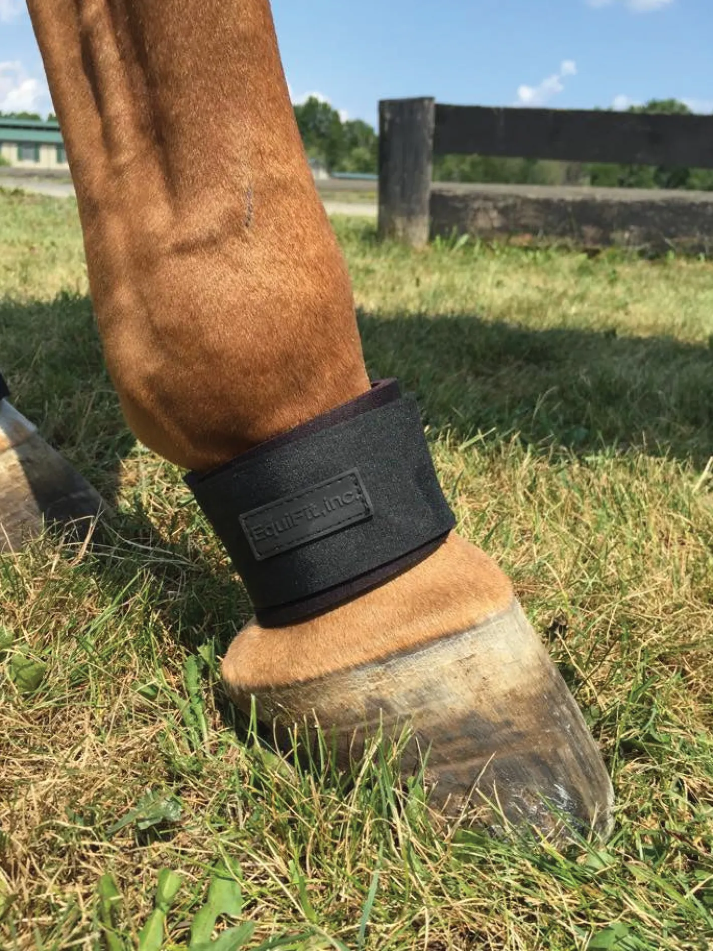 EQUIFIT ® Pastern Wrap