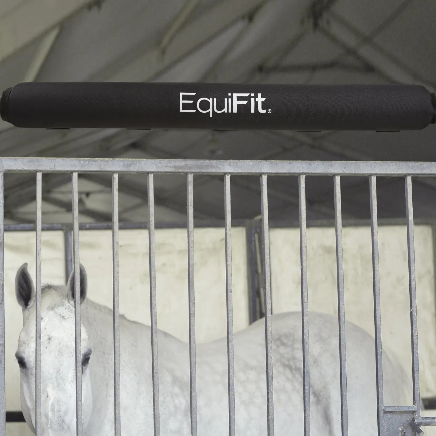 EQUIFIT ® StallBumper