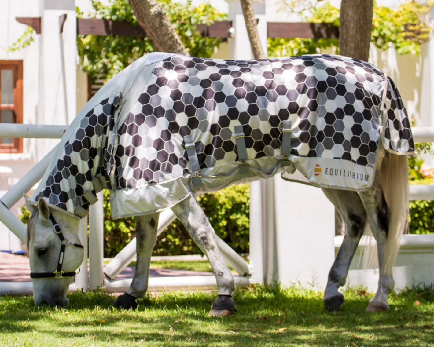 WORLD EQUSTRN BRNDS Equilibrium Field Relief Fly Sheet