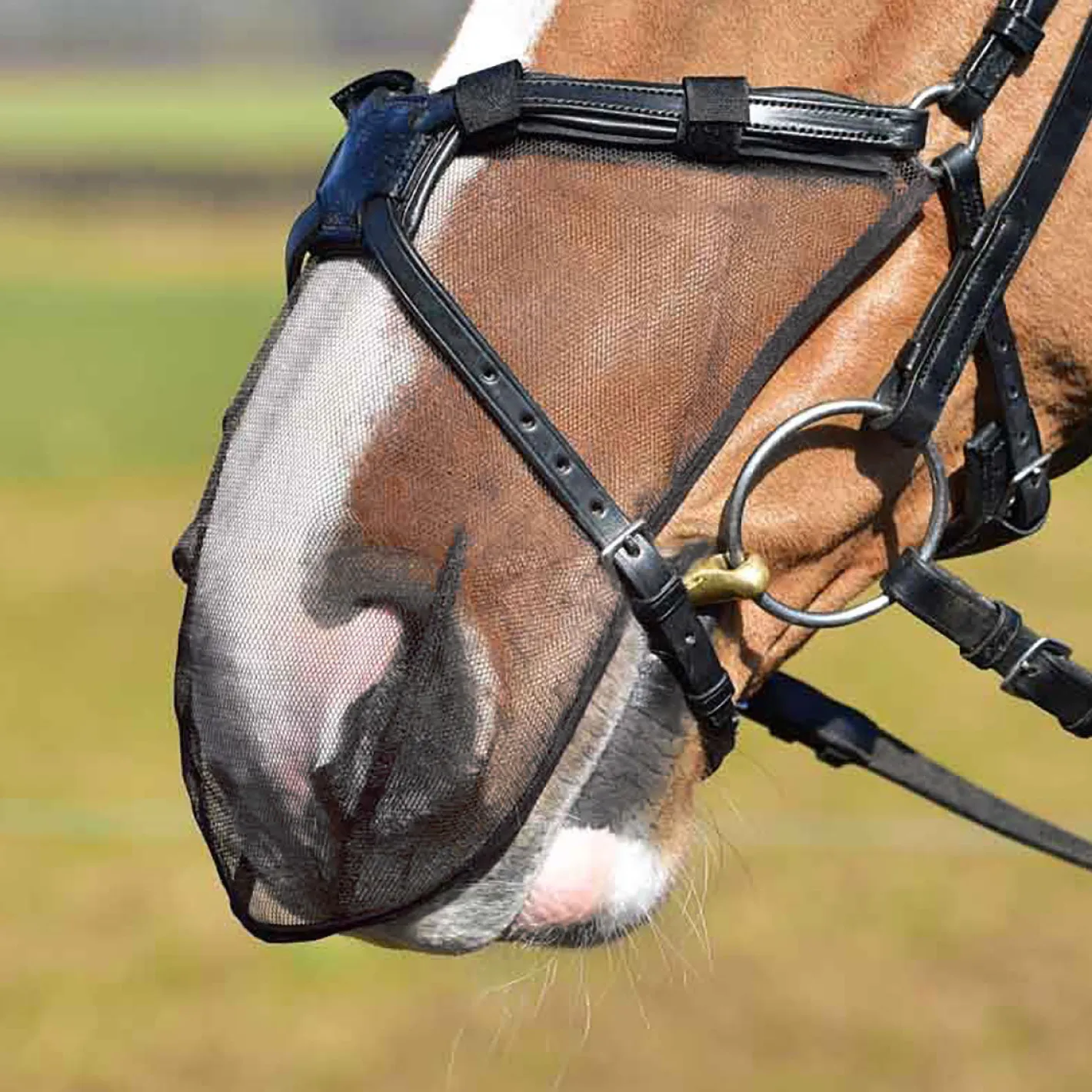 WORLD EQUSTRN BRNDS Equilibrium Net Relief Muzzle Net for Figure-8 Bridle