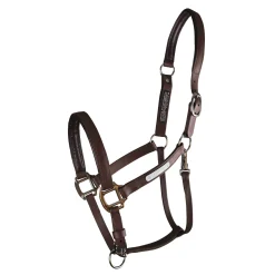 WORLD EQUSTRN BRNDS Equilibrium Stellar All-Weather Breakaway Halter