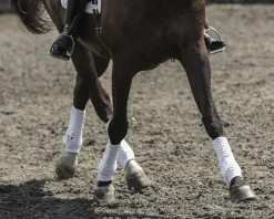 WORLD EQUSTRN BRNDS Equilibrium Stretch & Flex Training Wraps